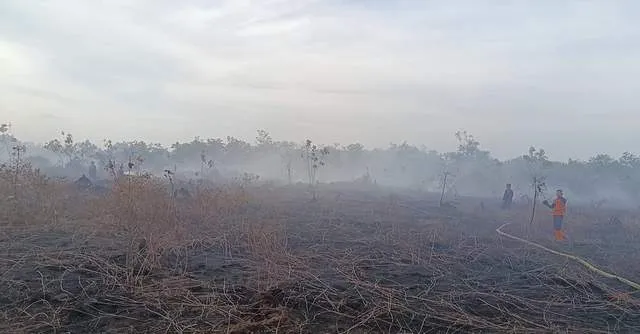 Kabut Asap Karhutla di Aceh Barat Menebal, Warga Meulaboh Diimbau Waspada ISPA