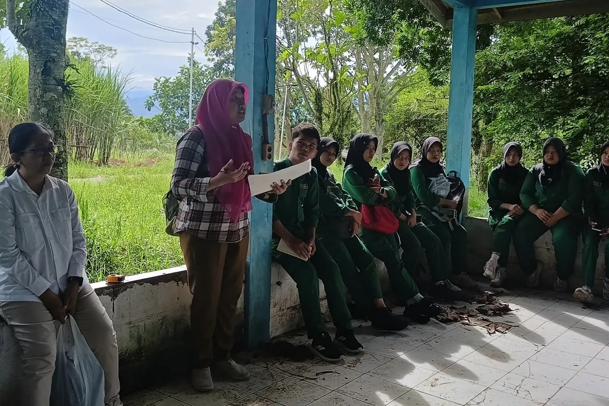 Polbangtan Malang dan BRIN Gelar Praktik Rancangan Percobaan, Uji 13 Varietas Tebu terhadap Penyakit Luka Api