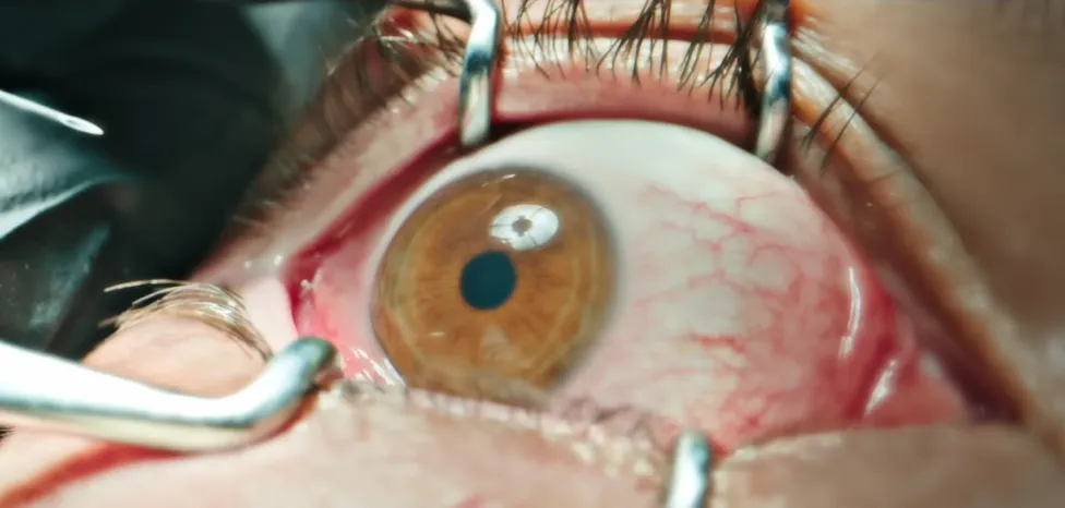 Netflix Indonesia Umumkan Deretan Film dan Serial Lokal Terbaru, Hadirkan Kisah Keluarga hingga Masa Lalu