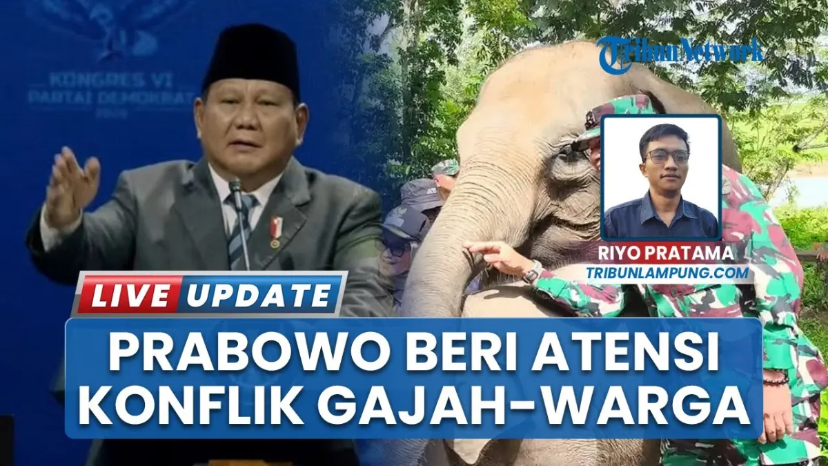 Pemprov Lampung dan Pemerintah Pusat Perkuat Mitigasi Konflik Gajah-Warga di Sekitar Way Kambas