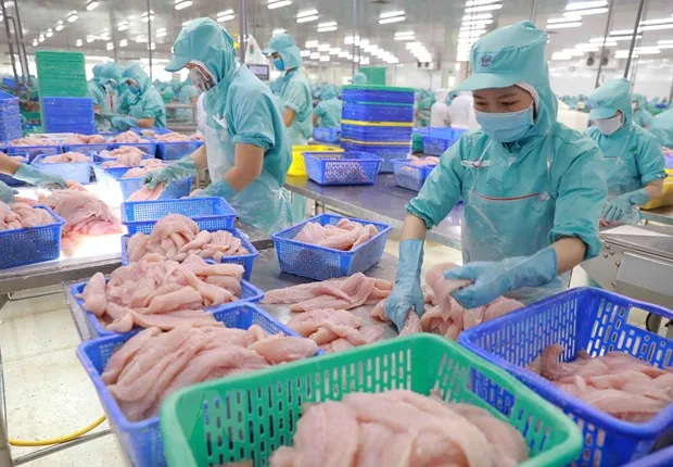 Permintaan Impor Makanan Laut Singapura Stabil, Vietnam Naik ke Tiga Besar Pemasok pada 2025
