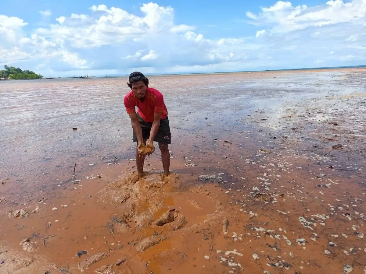 Laut Keruh dan Sawah Tertimbun Lumpur, Warga Wasile Halmahera Timur Keluhkan Dampak Tambang Nikel
