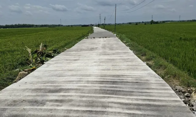 BKKD 2025 di Bojonegoro Dorong Perbaikan Infrastruktur Desa, Jalan Selorejo-Kepohbaru Capai 70 Persen