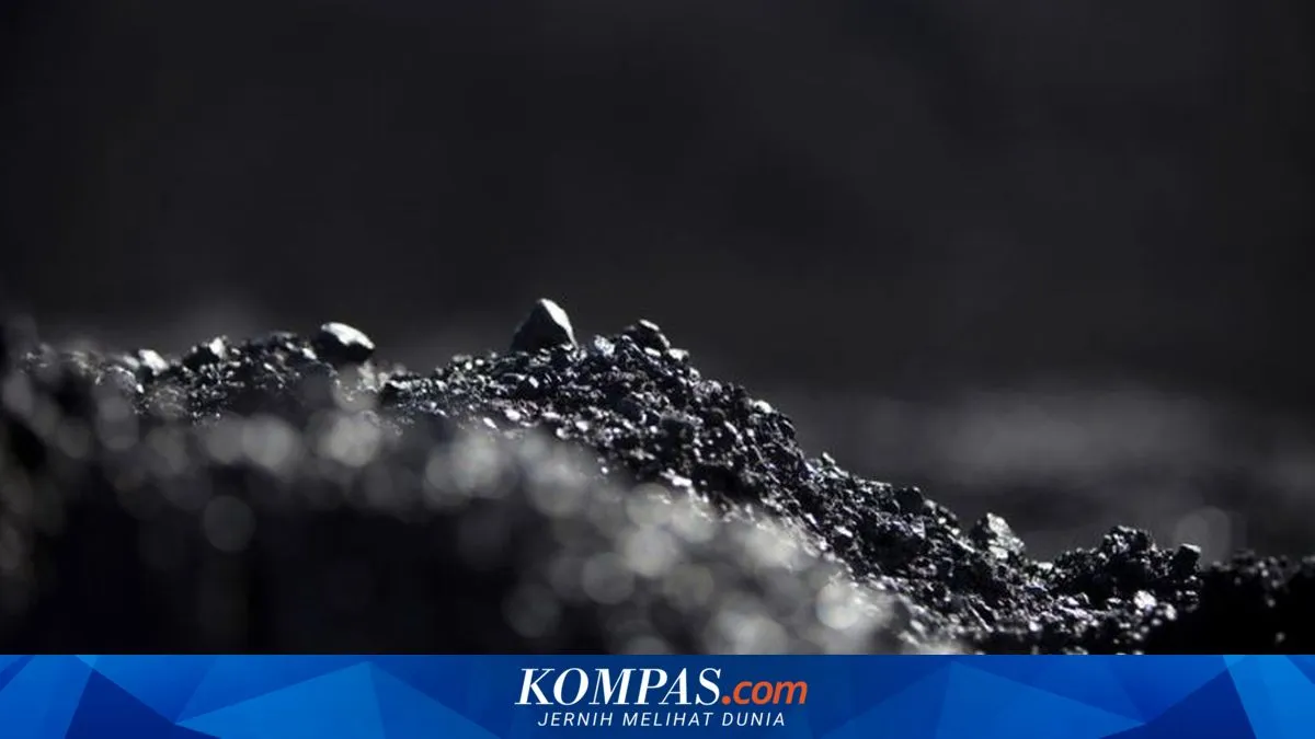 INDEF: Ekspor Batu Bara Indonesia Berpotensi Turun Seiring Melandainya Permintaan China dan India