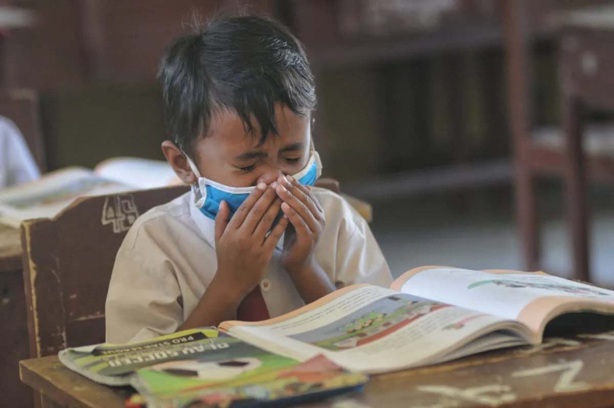 BMKG Catat Lonjakan Debu PM1 di Kota Palu Sepanjang 2025, Sempat Tembus 769 µg/m³