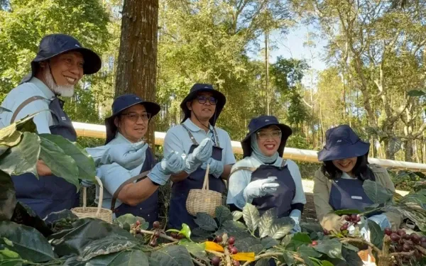 Canaya, Kopi Spesialti yang Lahir dari Proses Panas Bumi