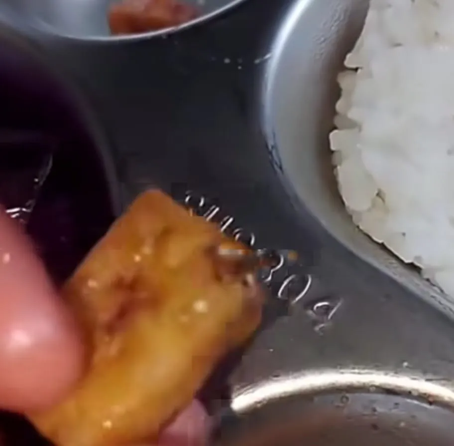 Menu Makan Bergizi Gratis di Pangkep Diduga Tercampur Staples, Disebut Terjadi untuk Ketiga Kalinya