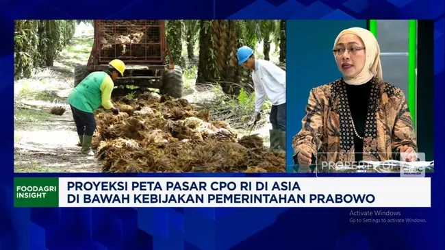 CPOPC Optimistis Pasar Sawit Global Tumbuh, Program B50 2026 Dinilai Tak Ganggu Ekspor RI