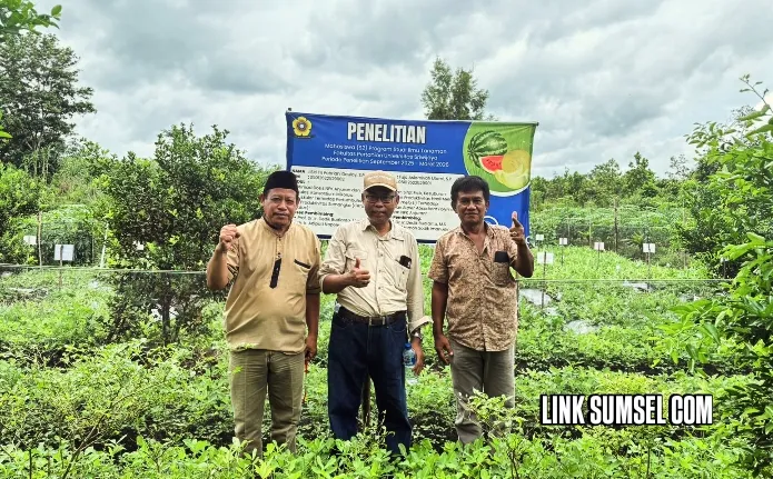 Profesor UNSRI Monitoring Riset Hortikultura Mahasiswa di Gelumbang Muara Enim