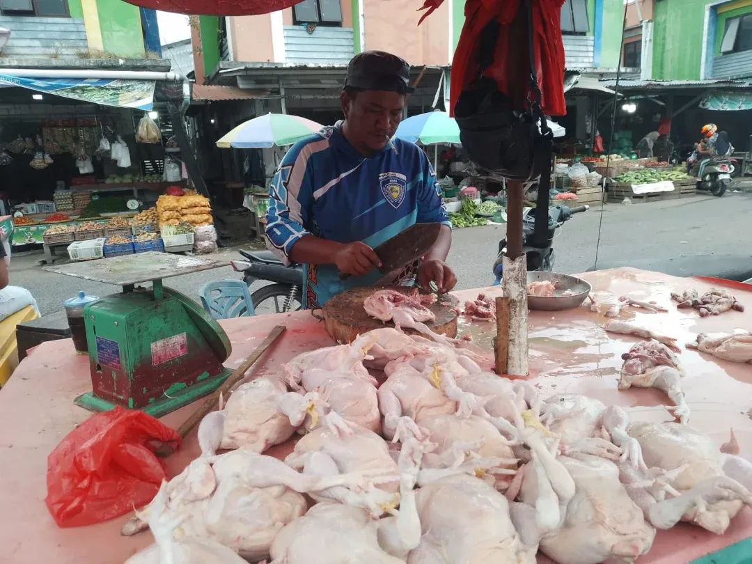 Jelang Imlek dan Ramadan, Harga Ayam dan Bumbu Dapur di Pangkalpinang Naik; Cabai Rawit Capai Rp100 Ribu per Kg