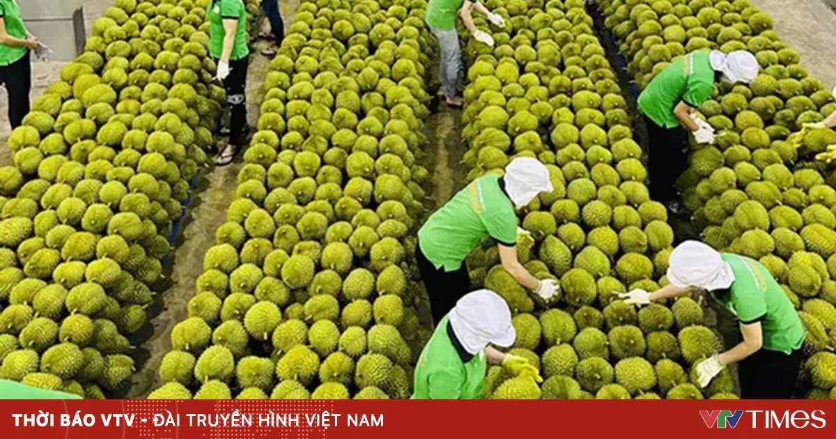 Standarisasi Ketertelusuran Jadi Kunci Ekspor Buah dan Sayur, Sistem Terpadu Mulai Diterapkan 1 Juli