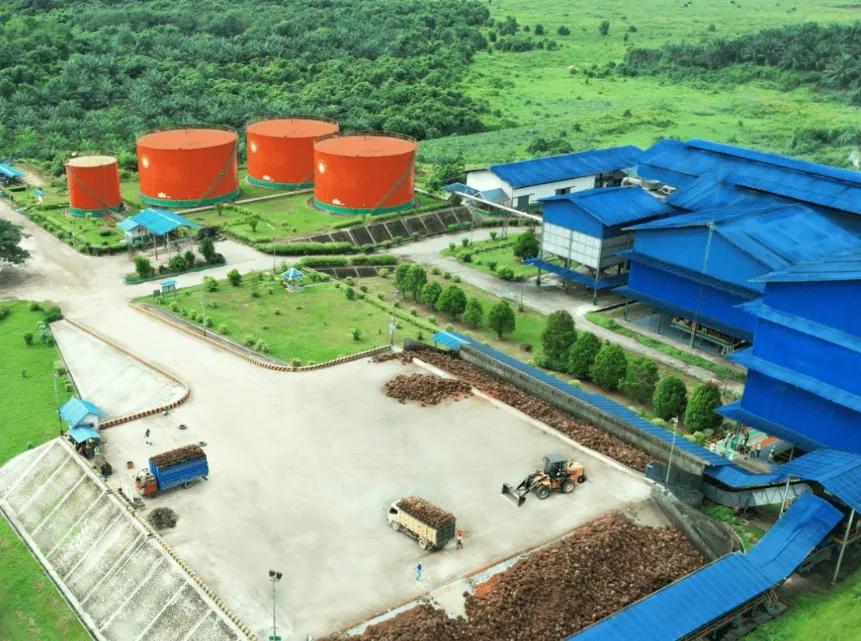 KPN Plantations Buka Lowongan Kerja Sawit untuk 6 Posisi Operasional di Kalimantan