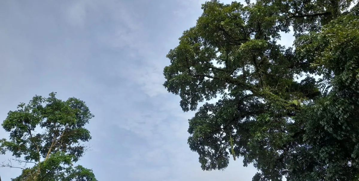 Prakiraan Cuaca Kabupaten Tasikmalaya Minggu, 25 Januari 2026: Berawan, Hujan Ringan, dan Potensi Petir