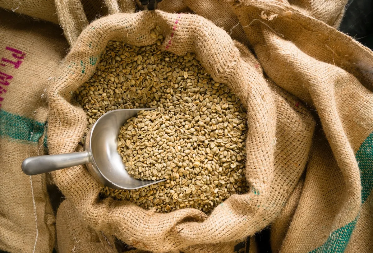Harga Kopi 24 Januari Naik, Arabika Menguat di New York dan Robusta Sentuh Level Tertinggi 1,5 Bulan