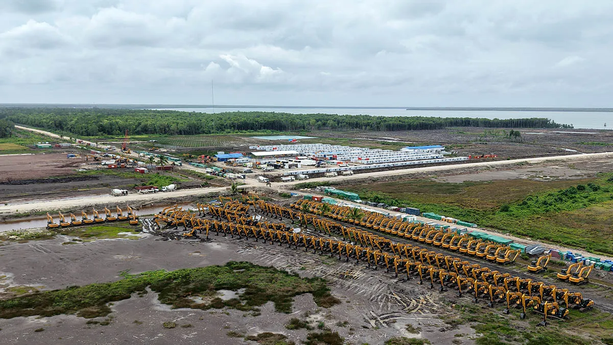 Dari Food Estate ke Perkebunan Sawit: Jejak Perluasan di Hutan Papua