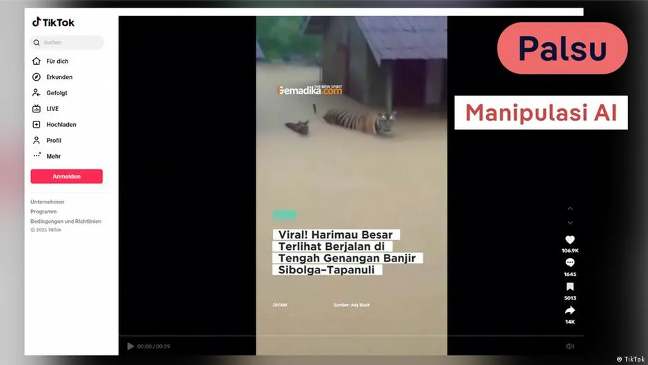 Cek Fakta Video Harimau di Tengah Banjir Sumatra: Ternyata Hasil Manipulasi AI