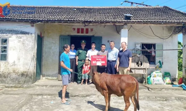 Quang Ninh Dorong Pengurangan Kemiskinan Inklusif Lewat Dukungan Modal dan Pendekatan Multidimensi