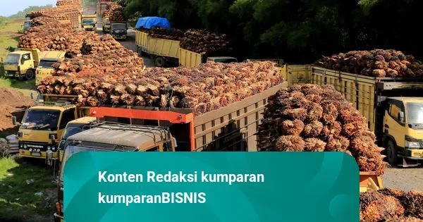 Karantina Sumsel Fasilitasi Ekspor 95.400 Benih Sawit ke Peru