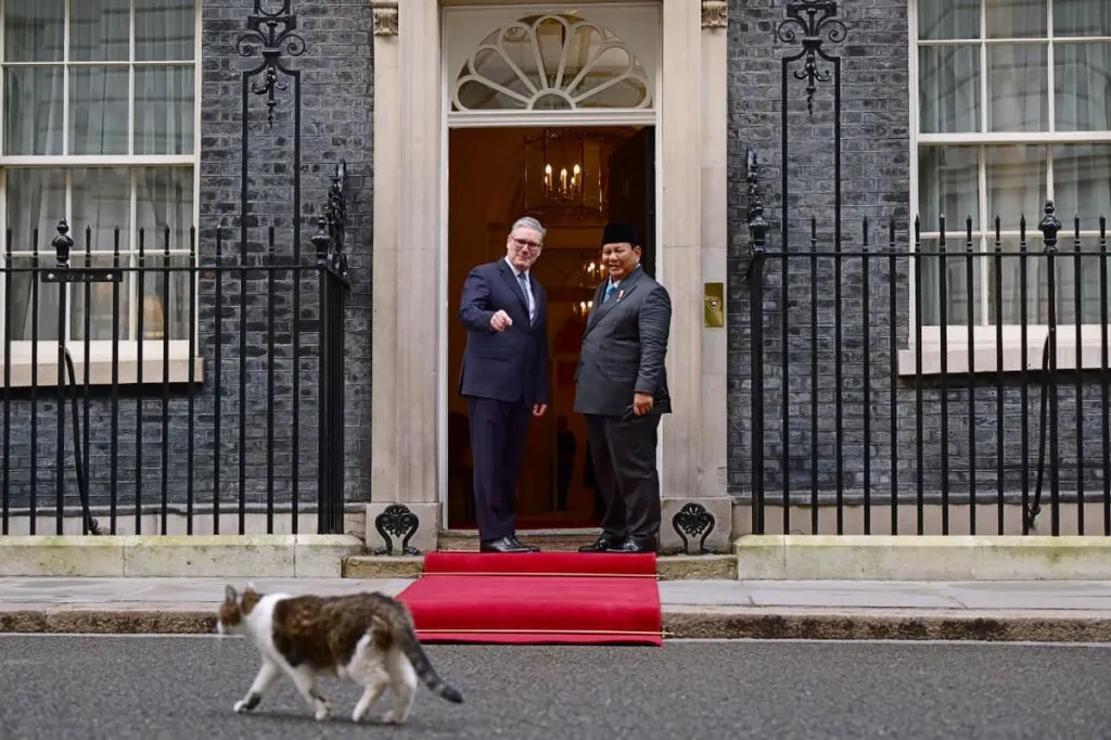 Larry the Cat Turut Menyambut Prabowo di Downing Street saat Bertemu PM Inggris