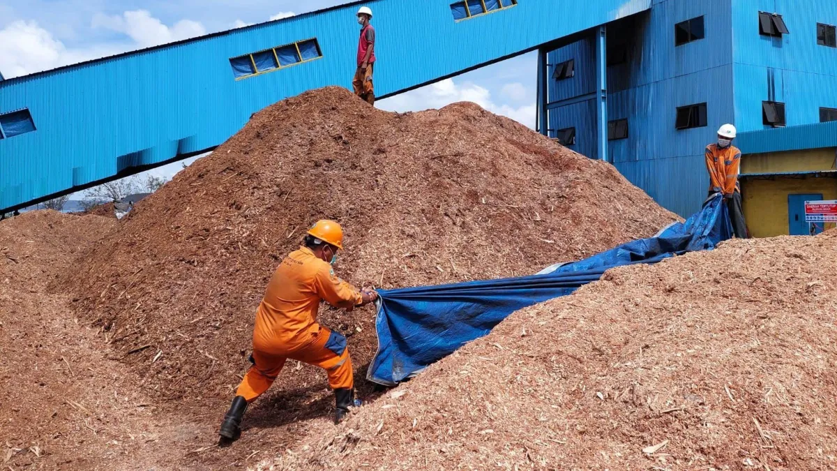 PLN EPI Gandeng Konsultan Korea Selatan untuk Perkuat Rantai Pasok Biomassa Berkelanjutan