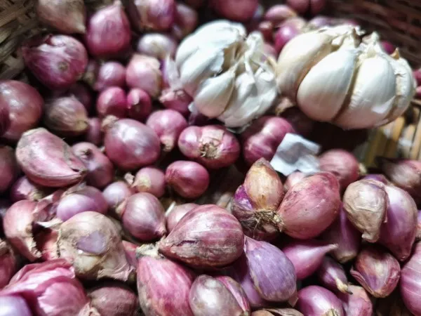 Jelang Ramadan 2026, Harga Bawang di Tenggarong Stabil di Kisaran Rp30–35 Ribu per Kilogram