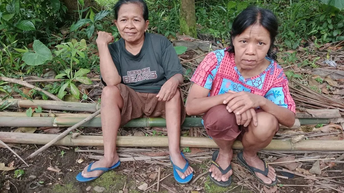 Dua Kakak Beradik di Banyumas Bertahan Hidup dari Mengupas Melinjo