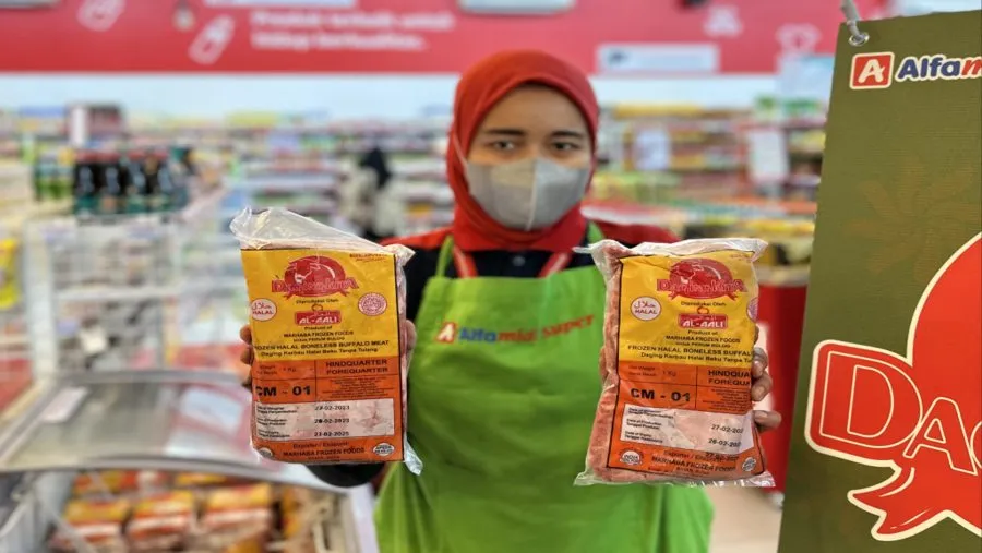 Bulog: Kuota Impor Daging Kerbau Beku 2026 Diberikan kepada PT Berdikari