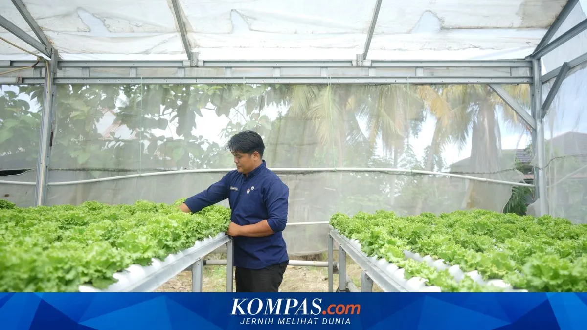 Arif di Padang dan Perlawanan Sunyi terhadap Alih Fungsi Lahan: Ketika Urban Farming Menjadi Bahasa Baru Kota