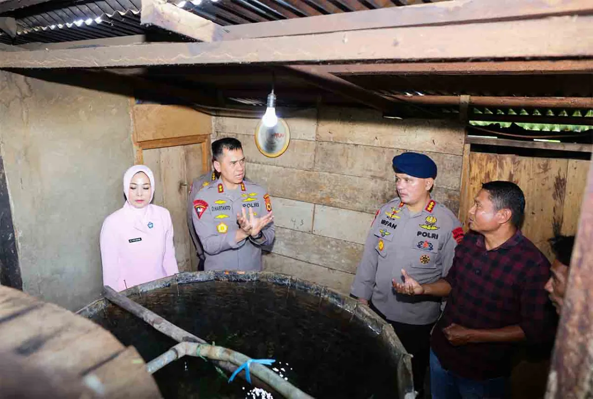 Kapolda Maluku Tinjau Penyulingan Minyak Kayu Putih di Namlea, Dorong Penguatan UMKM