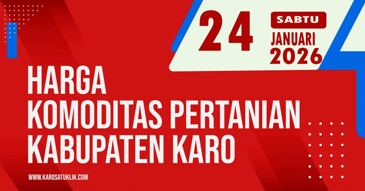 Daftar Harga Komoditas Pertanian di Kabupaten Karo, Sabtu 24 Januari 2026