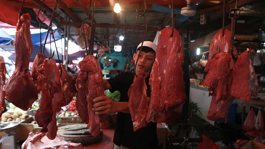 Kementan Perkirakan Produksi Daging Sapi 2025–2028 Masih Defisit, Impor Tetap Dibutuhkan