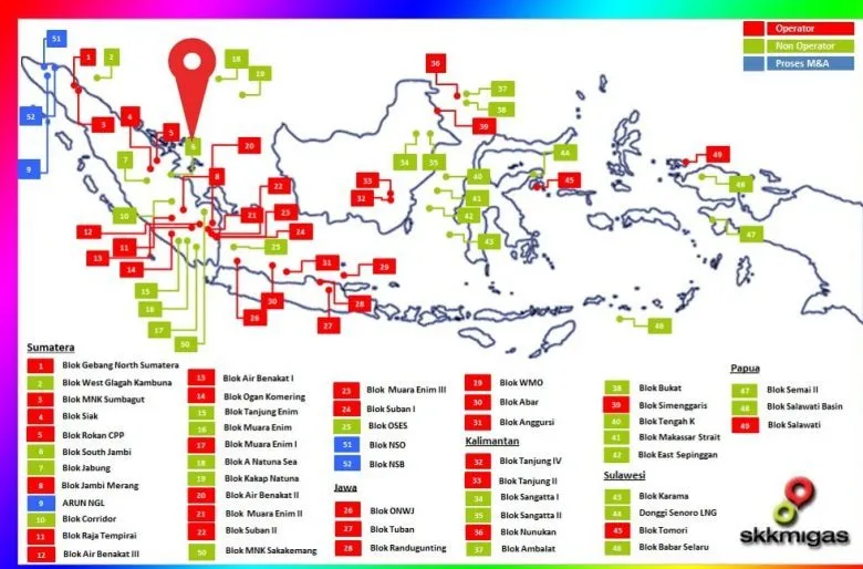 Kecerdasan Buatan Disebut Solusi Cepat untuk Mendukung Industri Migas
