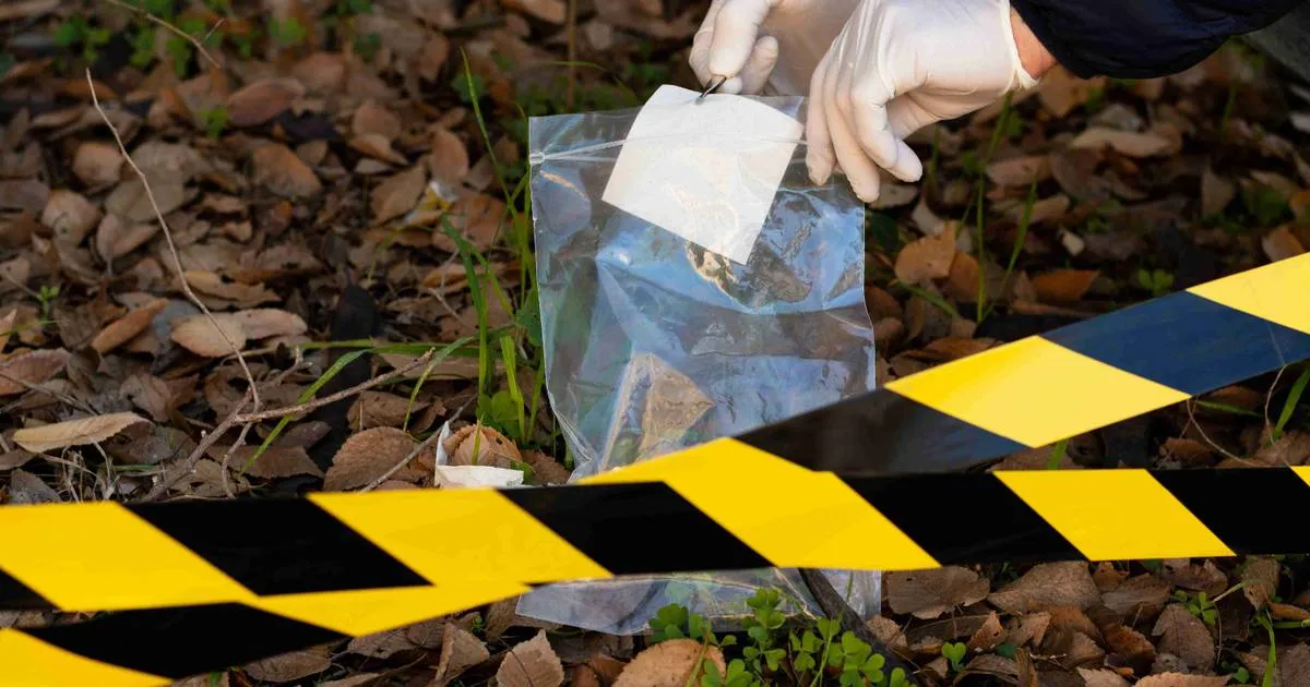 Survei Ipsos Januari 2026: Kejahatan dan Kekerasan Jadi Kekhawatiran Terbesar Publik Global