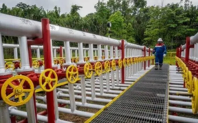 Sumur Salawati SLW-C4X Angkat Produksi Pertamina EP Papua Field Tembus 2.020 BOPD