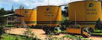 Produksi CPO MP Evans Turun 3% Menjadi 360.800 Ton