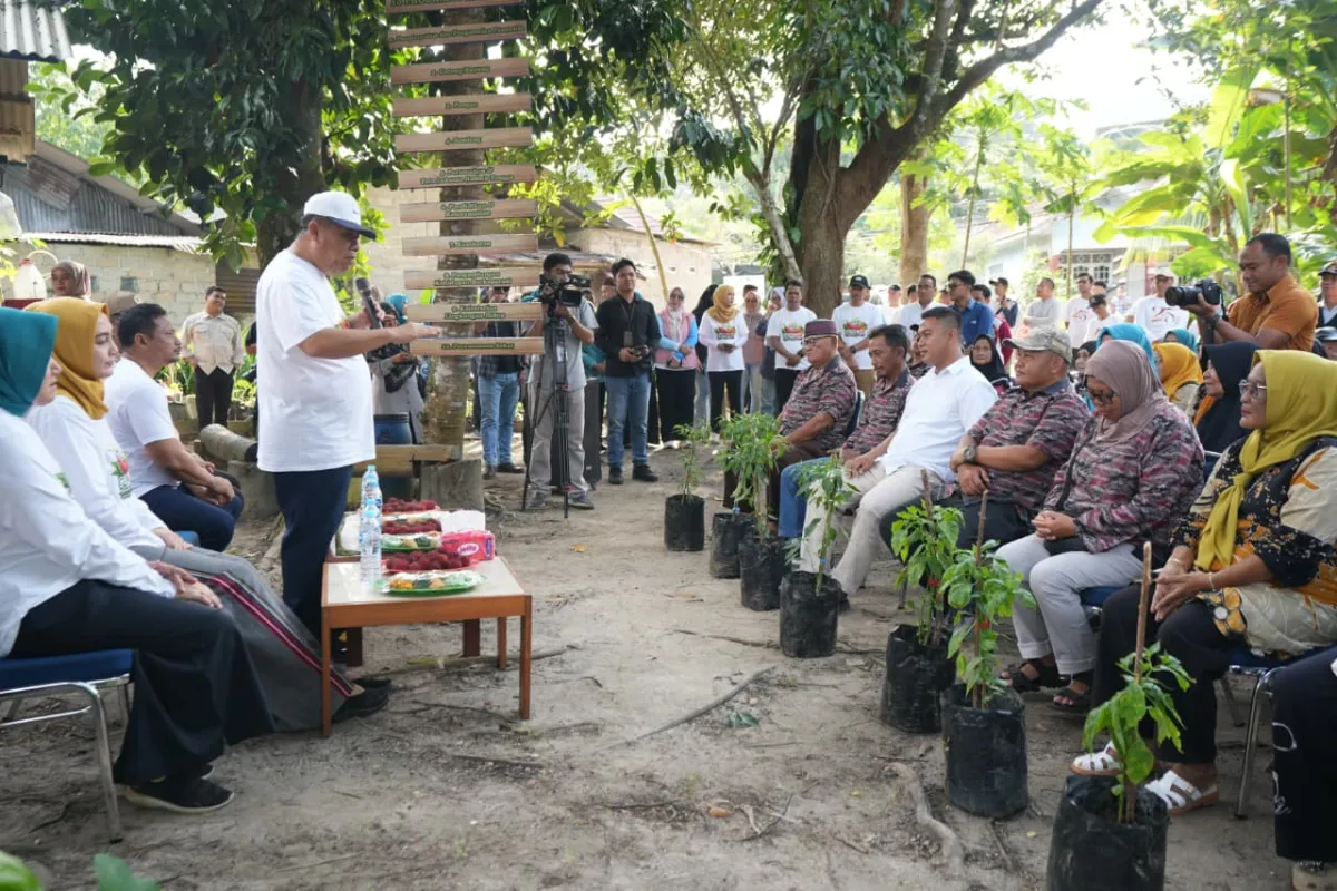 Pemprov Bangka Belitung Lanjutkan Program GENCAR, Bagikan Bibit Cabai ke Warga Bukit Besar Pangkalpinang