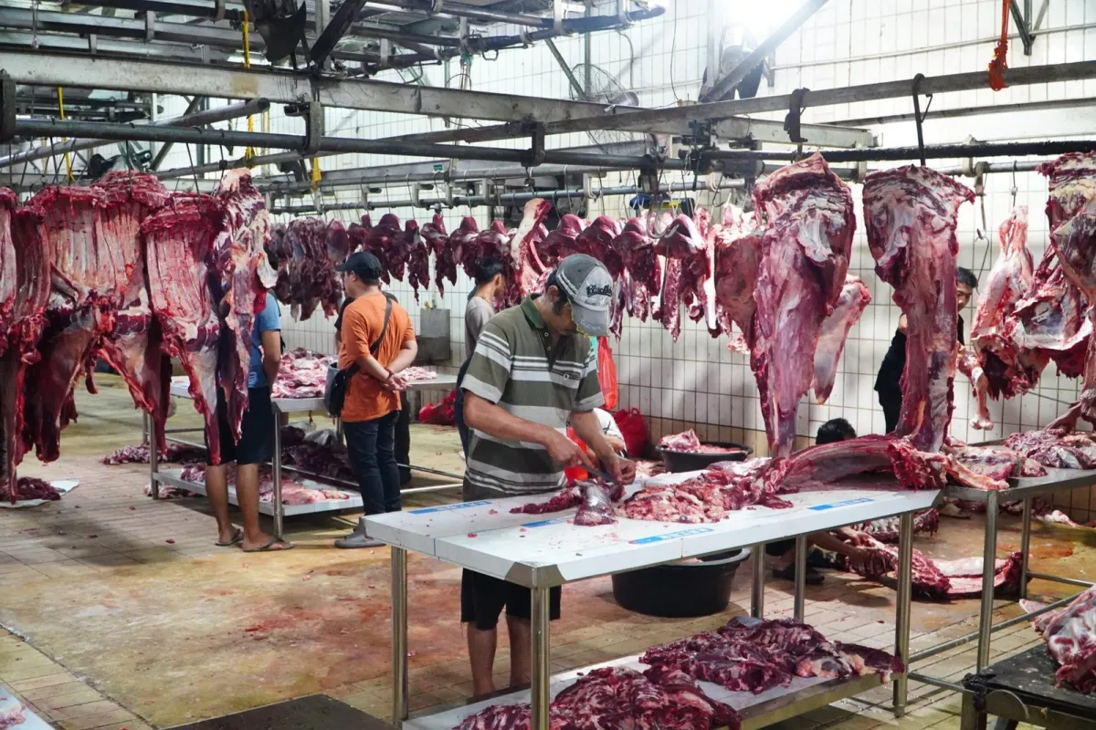 Pemerintah Sepakati Harga Sapi Hidup Rp55.000 per Kg untuk Jaga Stabilitas Harga Daging hingga Idulfitri