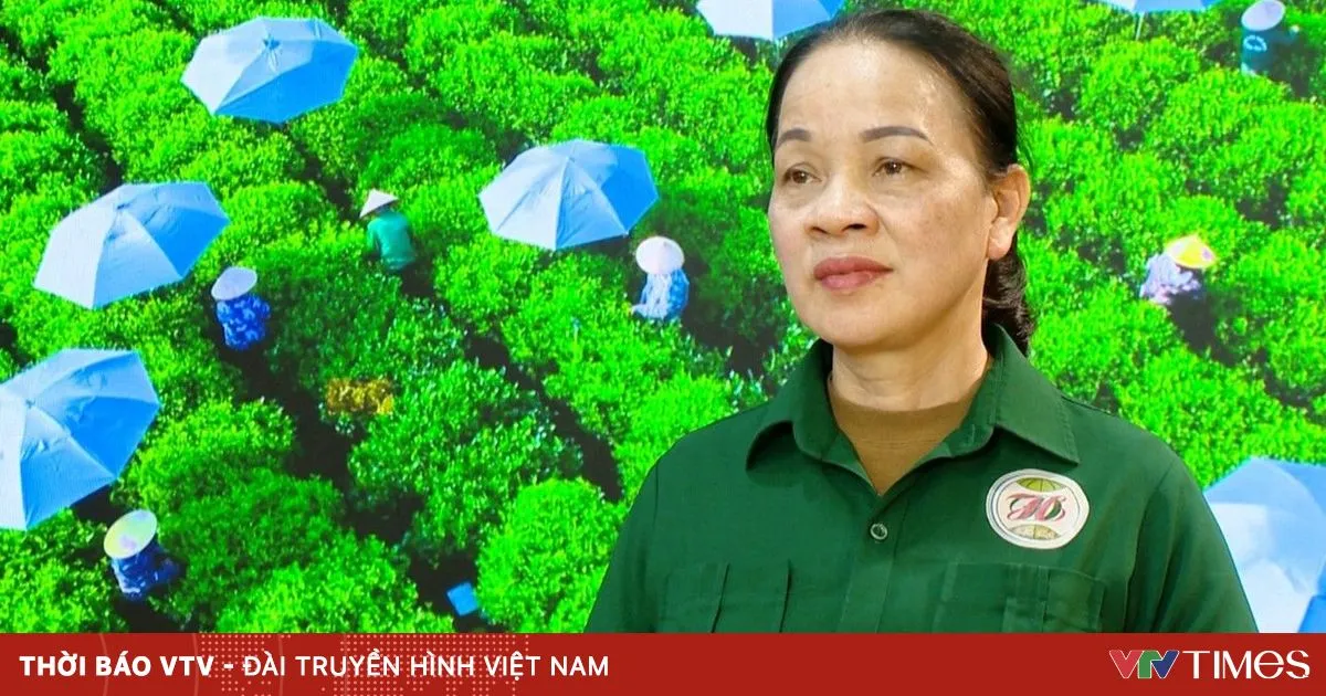 Koperasi Teh Hao Dat Berbenah lewat Sains, Teknologi, dan Transformasi Digital