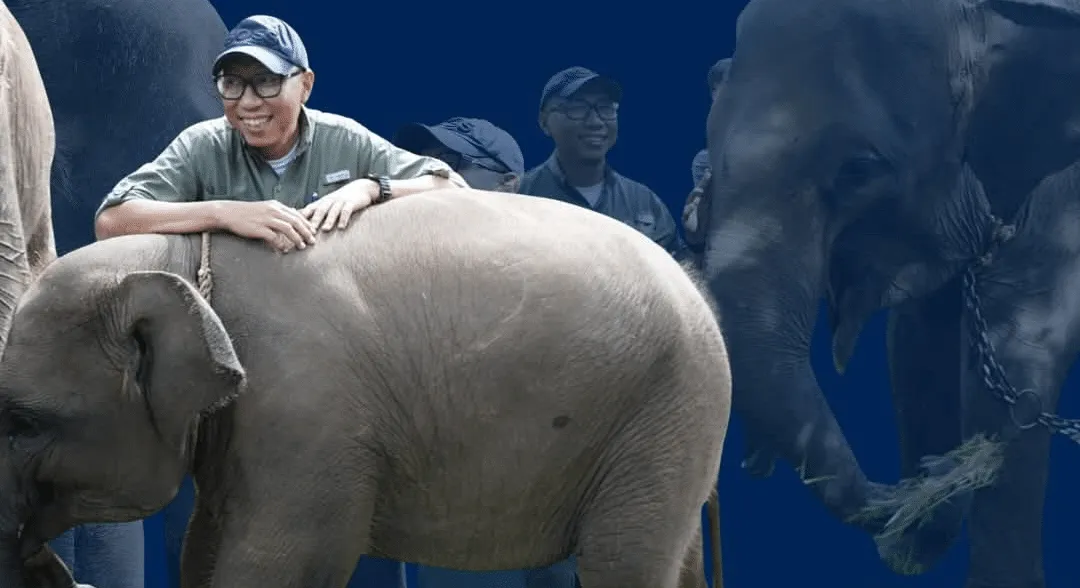 Gubernur Lampung Tegaskan Penyelesaian Konflik Gajah-Manusia di Way Kambas Lewat Batas Permanen