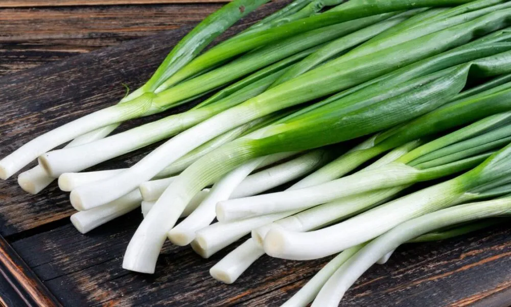 Cara Menyimpan Daun Bawang agar Tetap Segar Lebih Lama di Kulkas