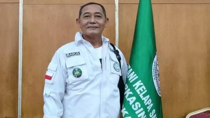 APKASINDO: Kebun PSR Mulai Produksi, Produktivitas Sawit Sumbar Meningkat