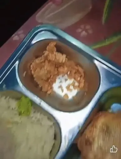 Video Diduga Tampilkan Belatung di Menu Makan Siang SD Tamansiswa Blanakan Subang, Jadi Sorotan Warganet