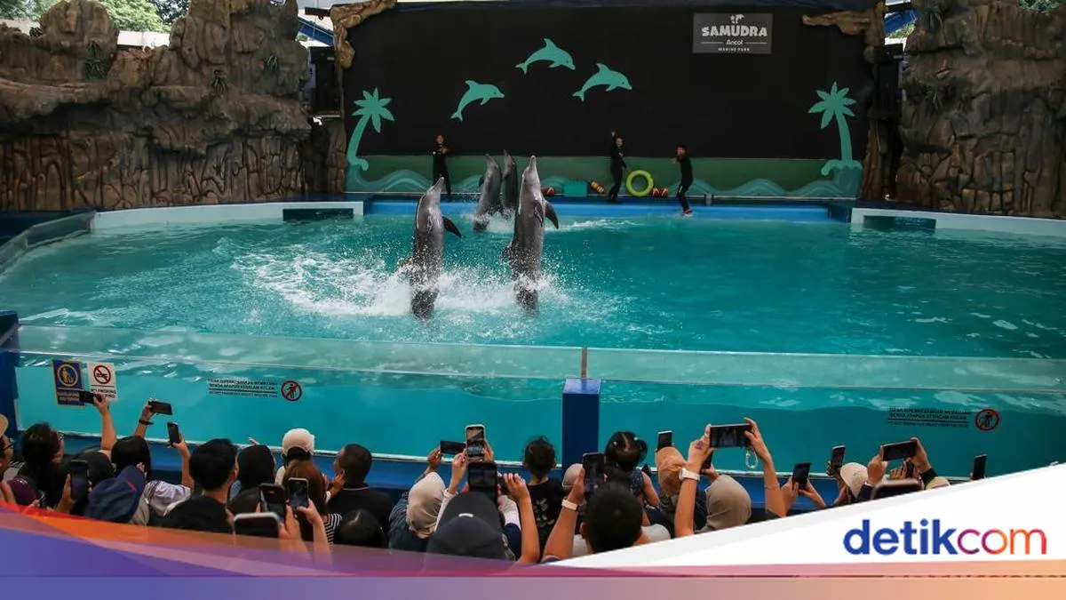 Konten Berita Tidak Memuat Informasi Selain Kode Iframe