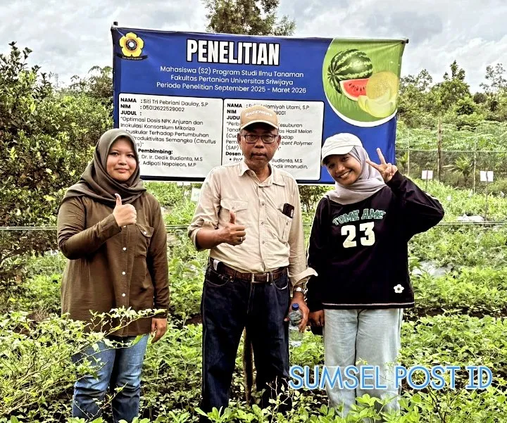 Guru Besar Pertanian UNSRI Tinjau Riset Budidaya Melon dan Semangka di Gelumbang