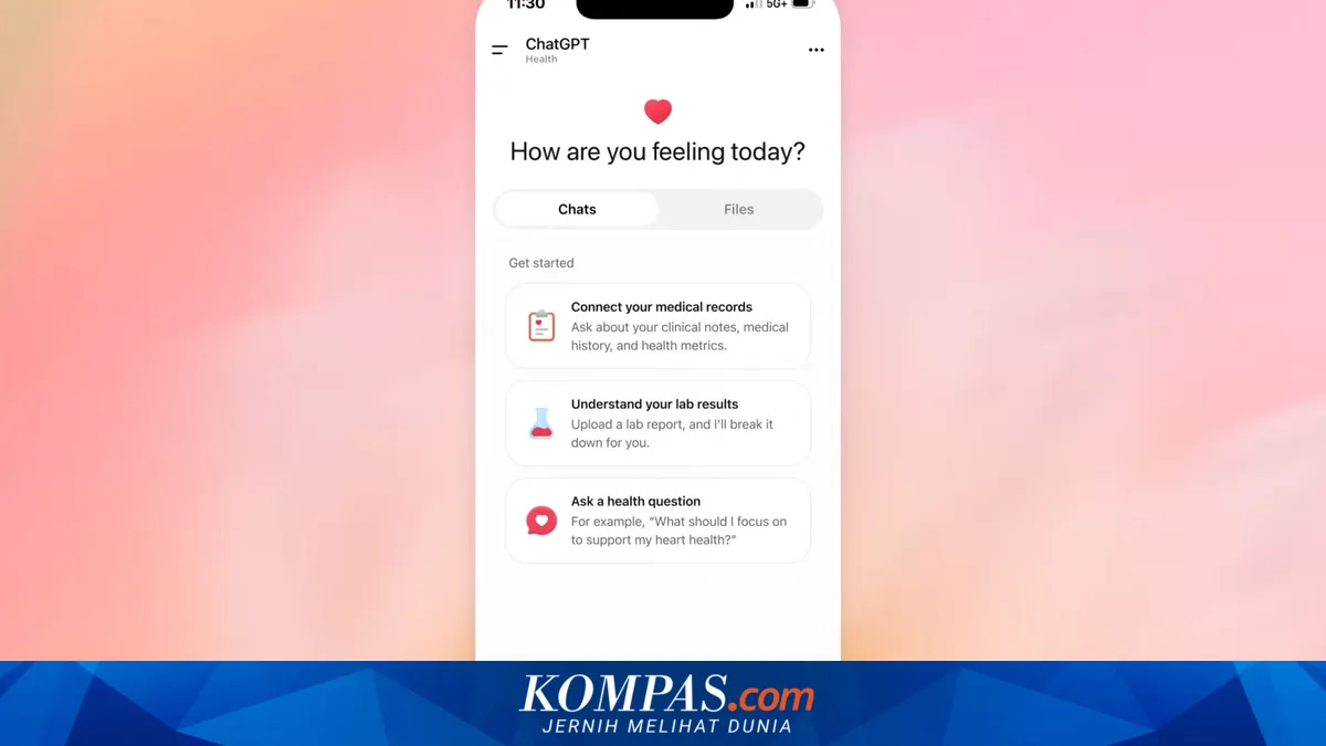 OpenAI Luncurkan ChatGPT Health untuk Bantu Pengelolaan Data Kesehatan Harian