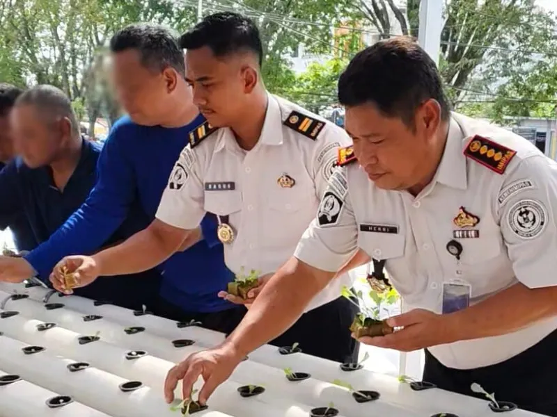 Lapas Kelas IIA Banjarmasin Semai 150 Pot Bibit Selada Hidroponik untuk Program Kemandirian Warga Binaan