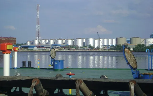 Rupee Melemah, India Batalkan Impor Minyak Kedelai dari Amerika Selatan dan Melirik Minyak Sawit