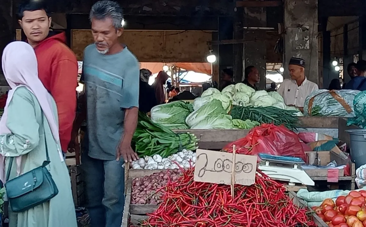 Harga dan Stok Bahan Dapur serta Sayur di Banda Aceh-Aceh Besar Masih Stabil Jelang Ramadhan 1447 H