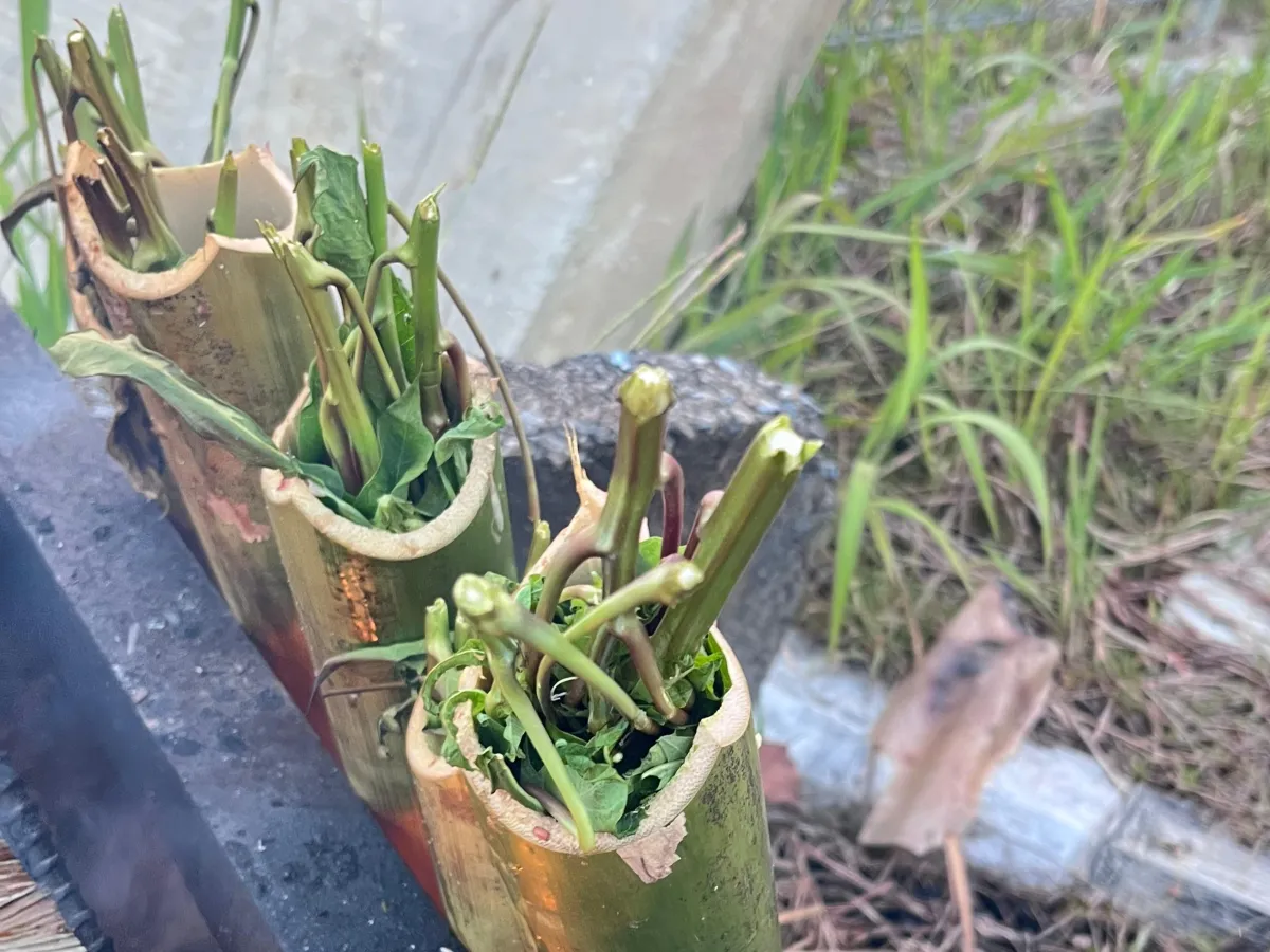 Pansuh Sayur, Tradisi Memasak Bambu Dayak Iban yang Bertahan di Perbatasan Badau