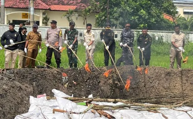 Karantina Jawa Timur Musnahkan Komoditas Pertanian Impor yang Tak Penuhi Syarat
